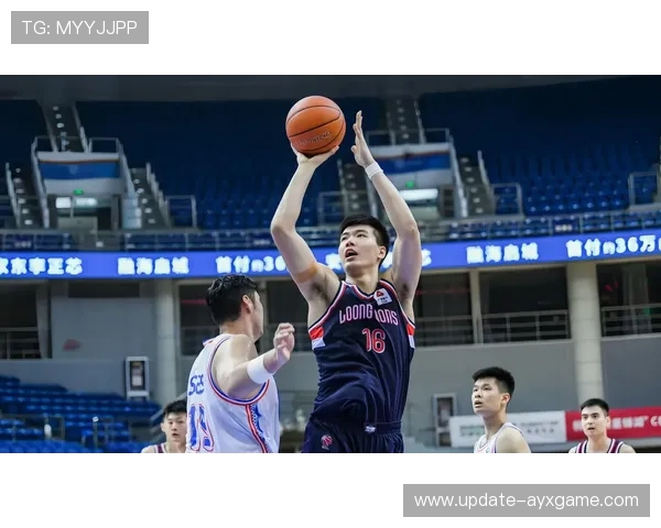 CBA赛场燃起青春与梦想的火焰，cba主题